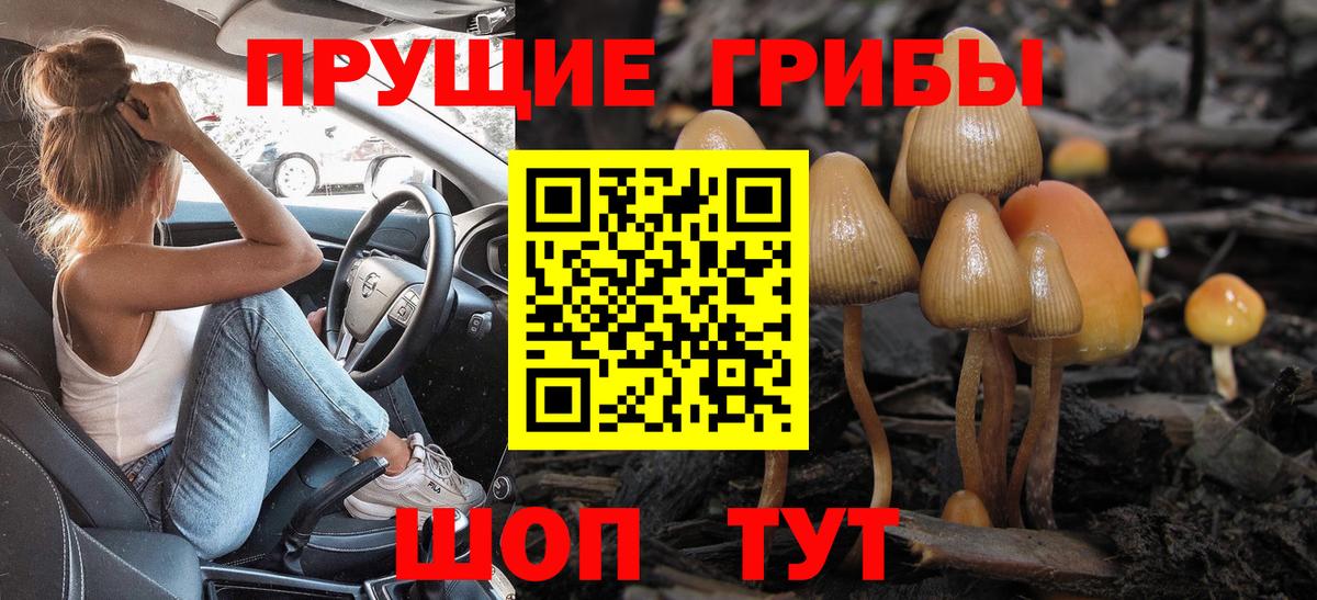 Галлюциногенные грибы прущие грибы Богородицк